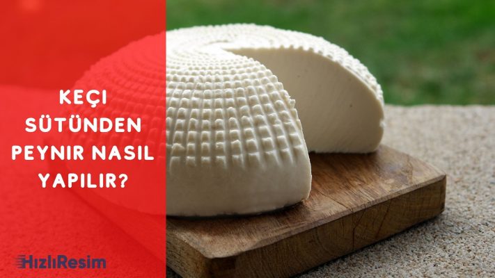 Nefis Keçi Sütünden Peynir Nasıl Yapılır? Merak Edilen Soruların cevapları