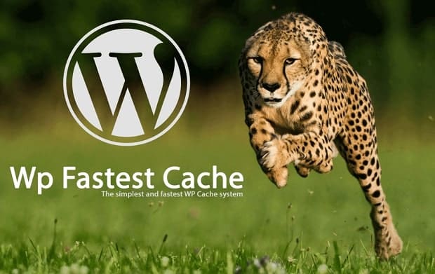 WordPress Cache Nedir?